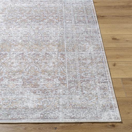 Surya Rainier PNWRN-2303 Brown Camel 2' x 2'11" Rug