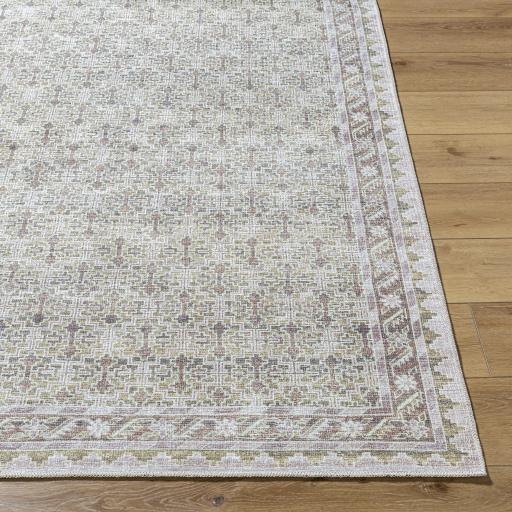 Surya Rainier PNWRN-2305 Cream Light Brown 3'3" x 4'11" Rug