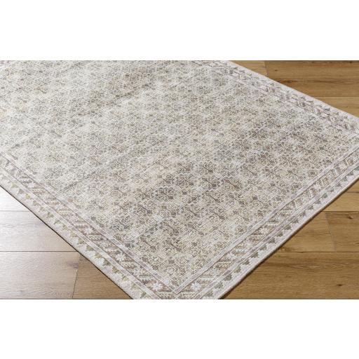 Surya Rainier PNWRN-2305 Cream Light Brown 3'3" x 4'11" Rug