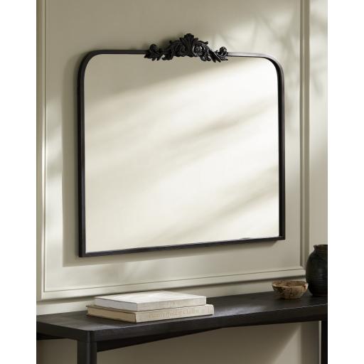 Surya Aarlen RAL-002 Black 29"H x 36"W x 2"D Mirror