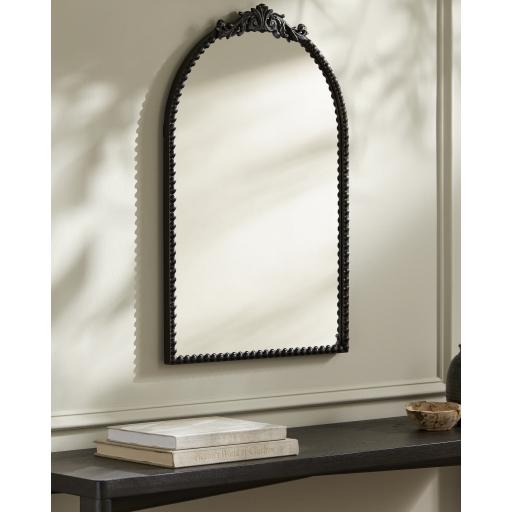 Surya Aarlen RAL-005 Black 30"H x 20"W x 2"D Mirror