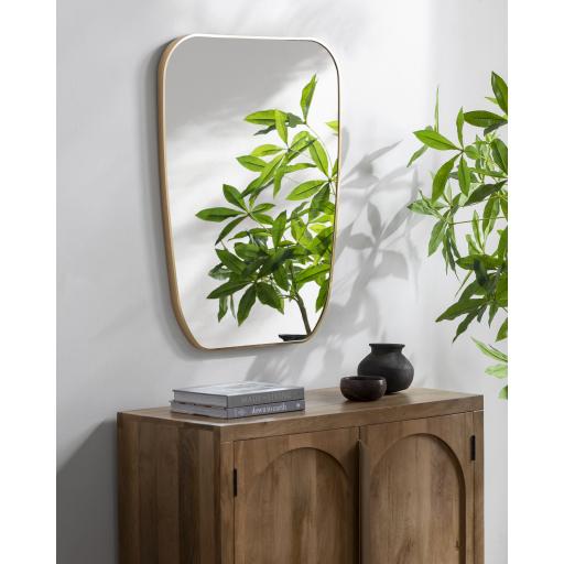 Surya Aranya RAY-047 Gold 32"H x 24"W x 1"D Mirror