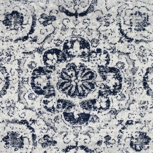 Surya Seville SEV-2305 Medium Gray Navy 5'3" x 7'3" Rug