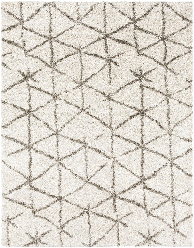 Surya Serengeti Shag SGT-2310 Charcoal Ivory 2' x 3' Rug