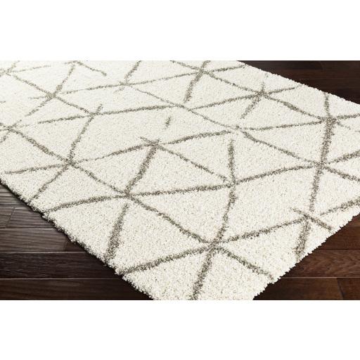 Surya Serengeti Shag SGT-2310 Charcoal Ivory 2' x 3' Rug