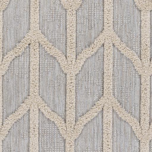 Surya Toledo TLD-2306 Cream Light Beige 5'3" x 7' Rug