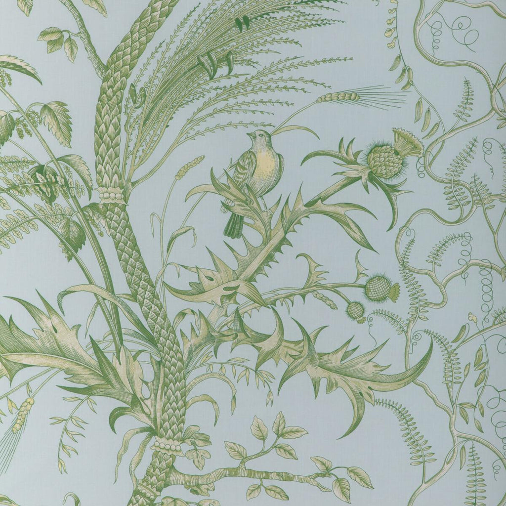 Brunschwig & Fils BIRD AND THISTLE II SKY Fabric