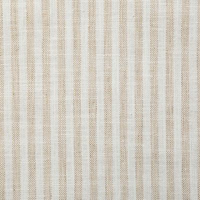 Pindler DRITTON SAND Fabric