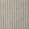 Pindler Dritton Haze Fabric