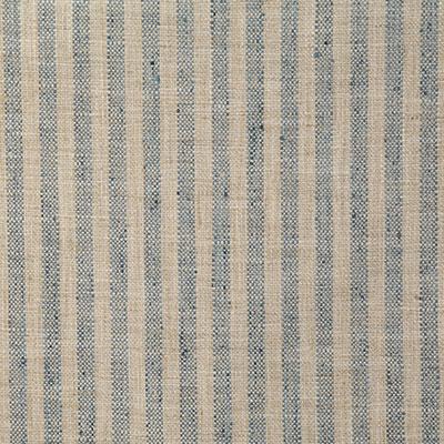 Pindler DRITTON HAZE Fabric