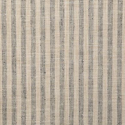 Pindler DRITTON SHALE Fabric