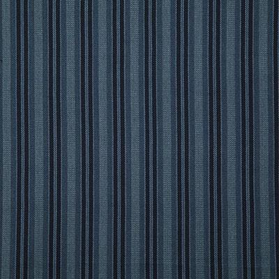 Pindler HESTIA INDIGO Fabric