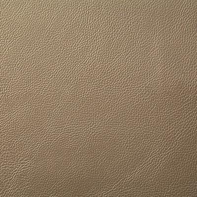 Pindler HOWDY CHAMPAGNE Fabric