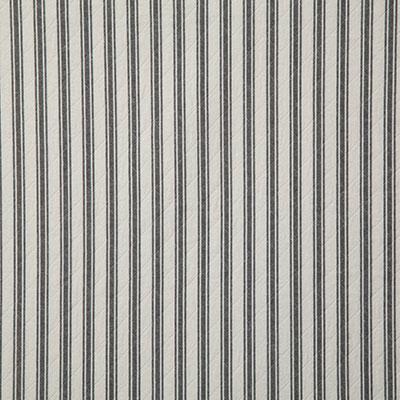 Pindler MAYWOOD DOMINO Fabric