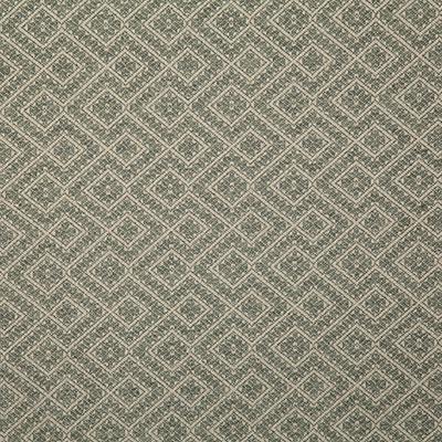 Pindler NETTA SAGE Fabric