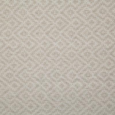 Pindler NETTA OYSTER Fabric