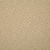 Pindler Netta Golden Fabric