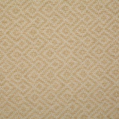 Pindler NETTA GOLDEN Fabric