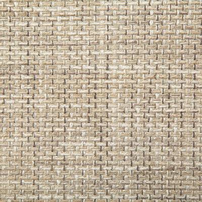 Pindler PETRUS PEBBLE Fabric