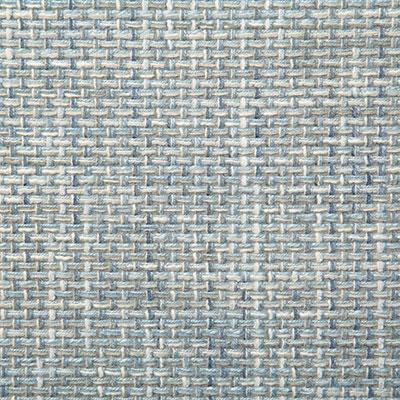 Pindler PETRUS HAZE Fabric