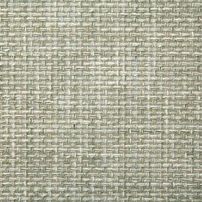 Pindler PETRUS CELADON Fabric