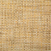 Pindler Petrus Soleil Fabric