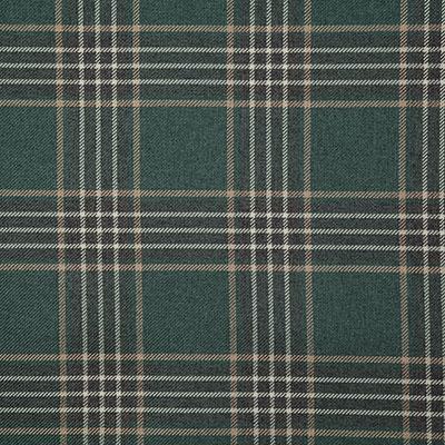 Pindler RUPERT EVERGREEN Fabric