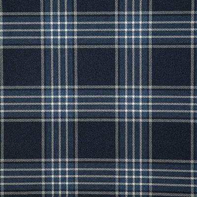 Pindler RUPERT DENIM Fabric