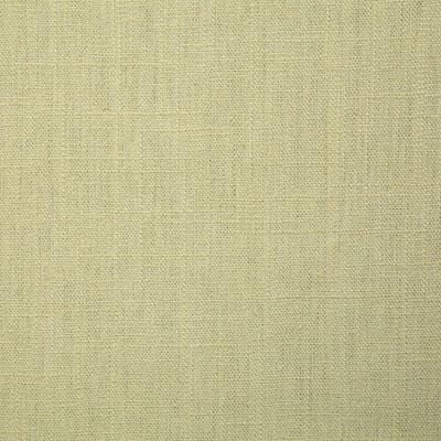 Pindler WALTER SPRING Fabric