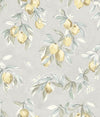 Brewster Home Fashions Fruit Grey Wallpaper