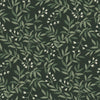 Brewster Home Fashions Vine Evergreen Wallpaper