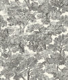 Brewster Home Fashions Chesapeake Wildflower Spinney Toile Black Wallpaper