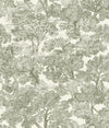 Brewster Home Fashions Chesapeake Wildflower Spinney Toile Green Wallpaper