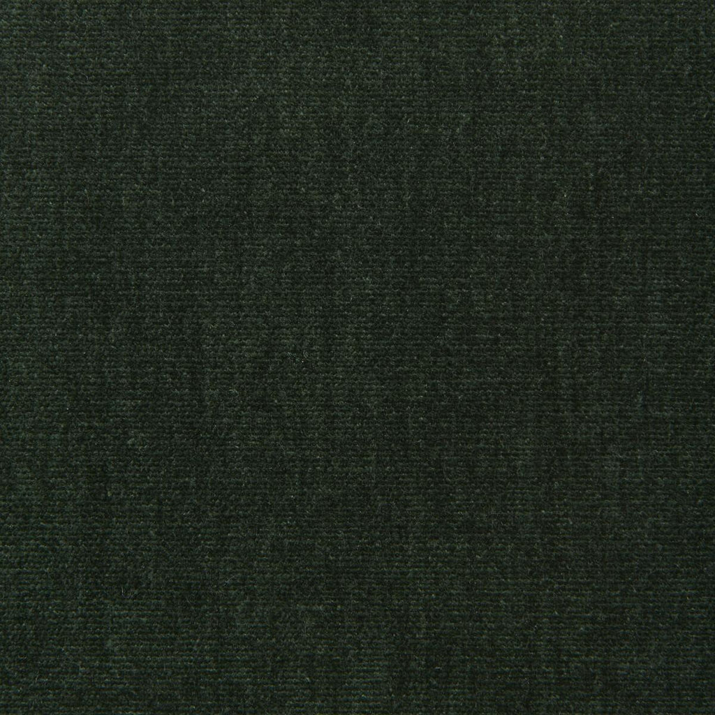 Kravet KRAVET SMART 36076-3333 Upholstery Fabric