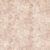 Clarke & Clarke Pittura Blush Fabric