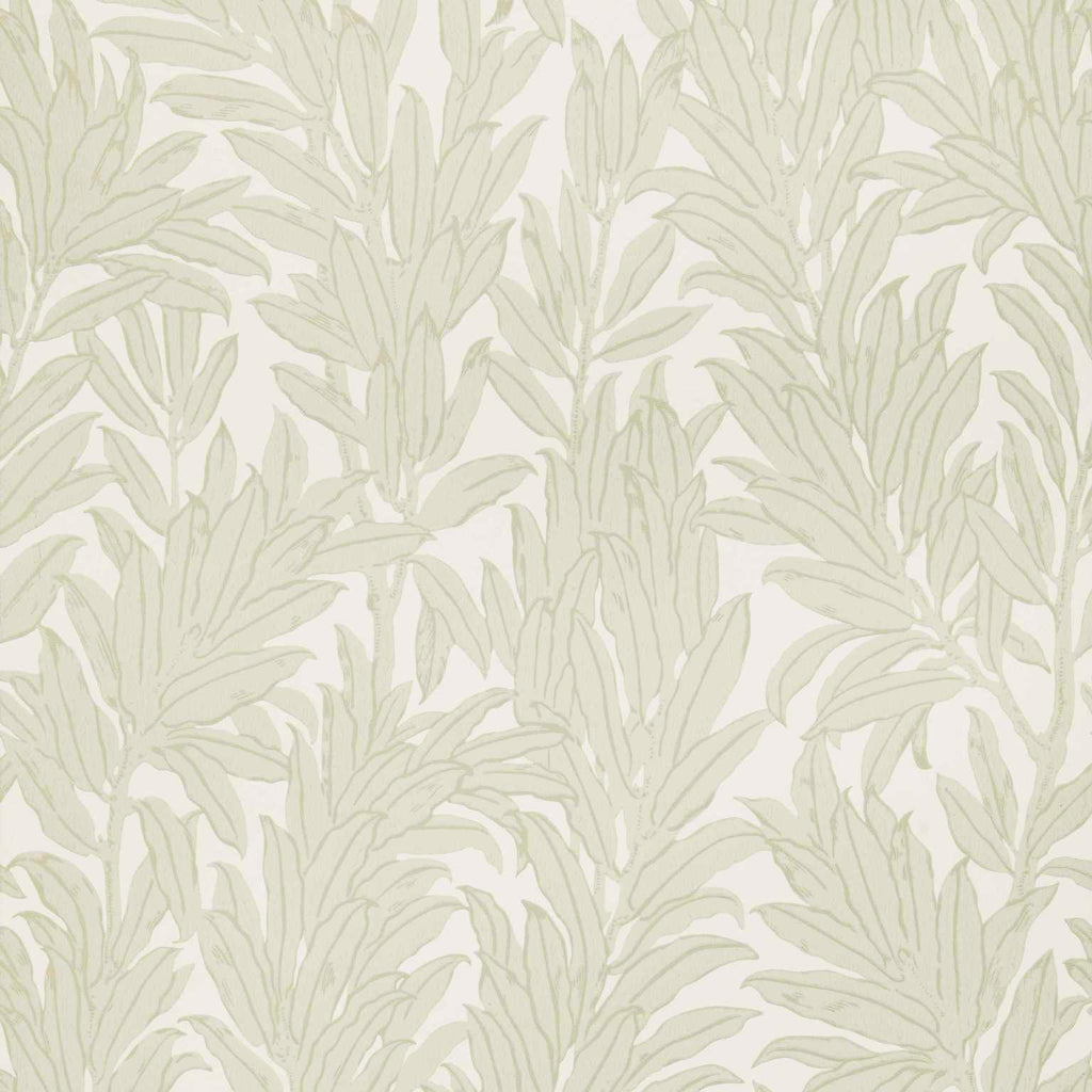 Maxwell LAUREL LEAF (WP) #03 NATURAL Wallpaper