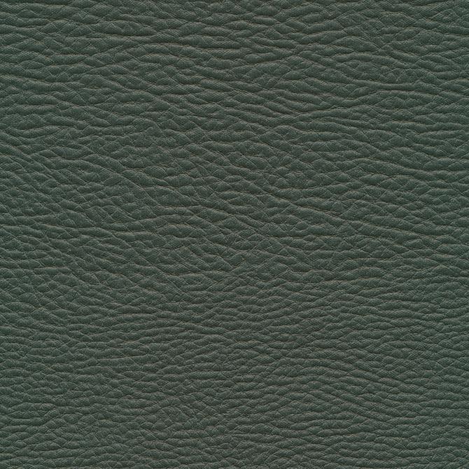 Maxwell MEADOWLAND-NJ #964 EVERGREEN Fabric