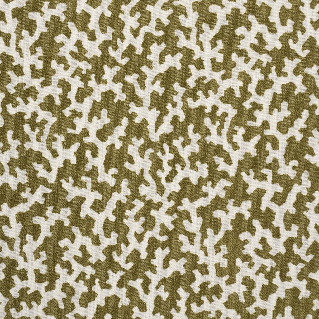 Schumacher Folly Olive Fabric