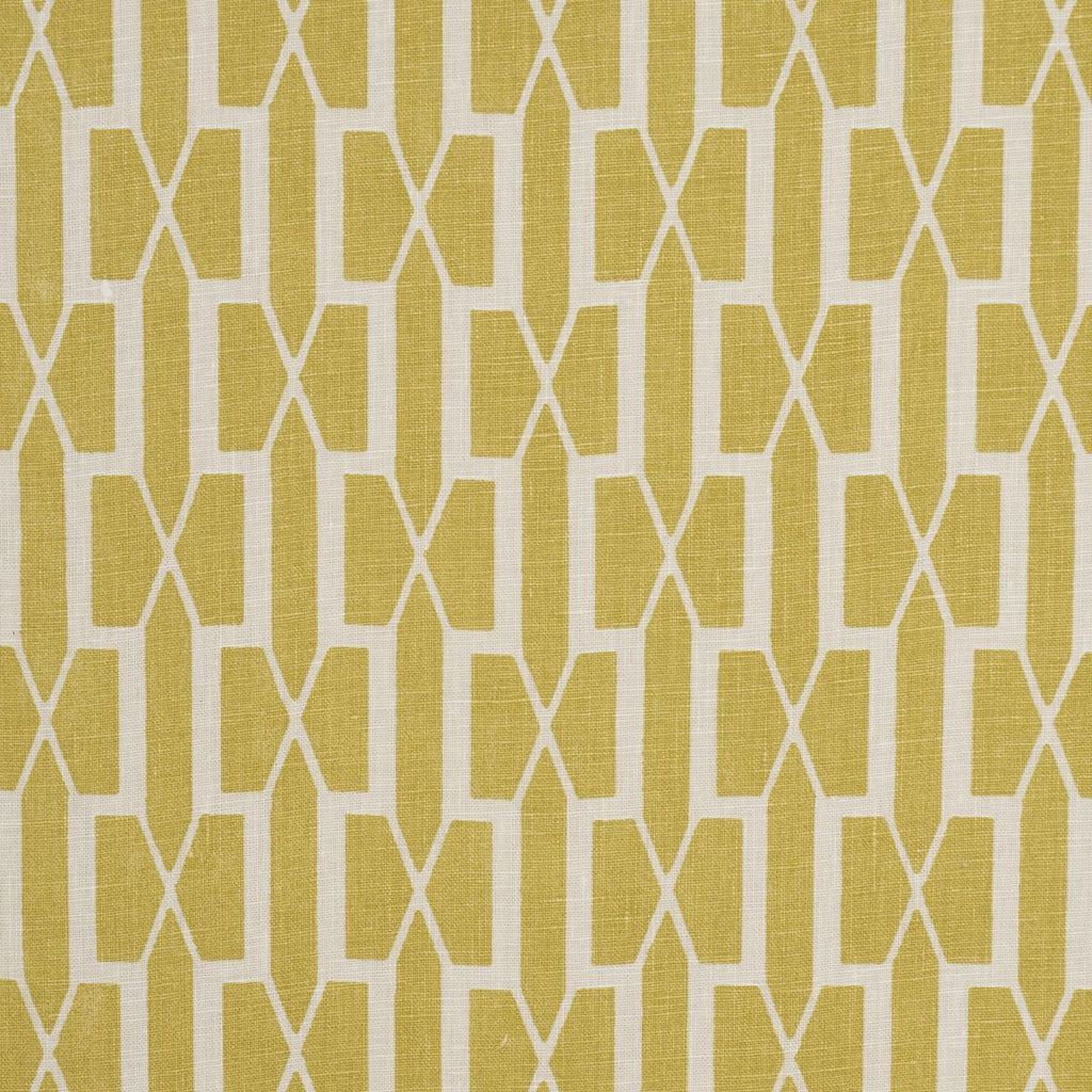 Schumacher Belvedere Mimosa Fabric