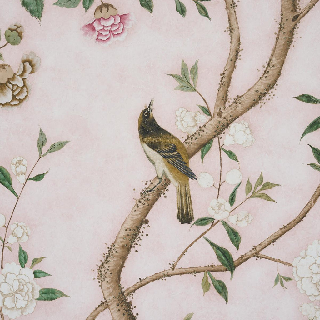 Schumacher Les Oiseaux Panel Set Blush Wallpaper