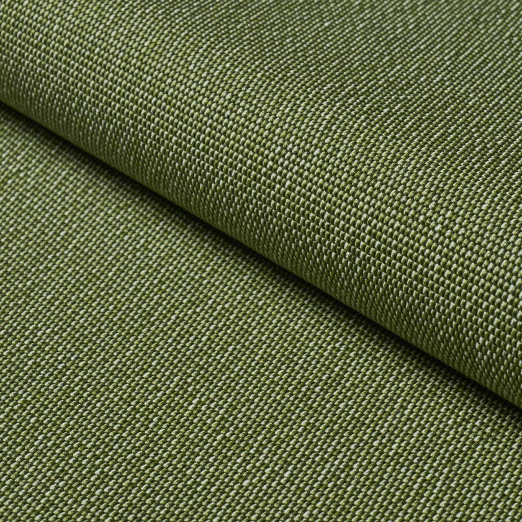 Schumacher Cooper Indoor/Outdoor Green Fabric