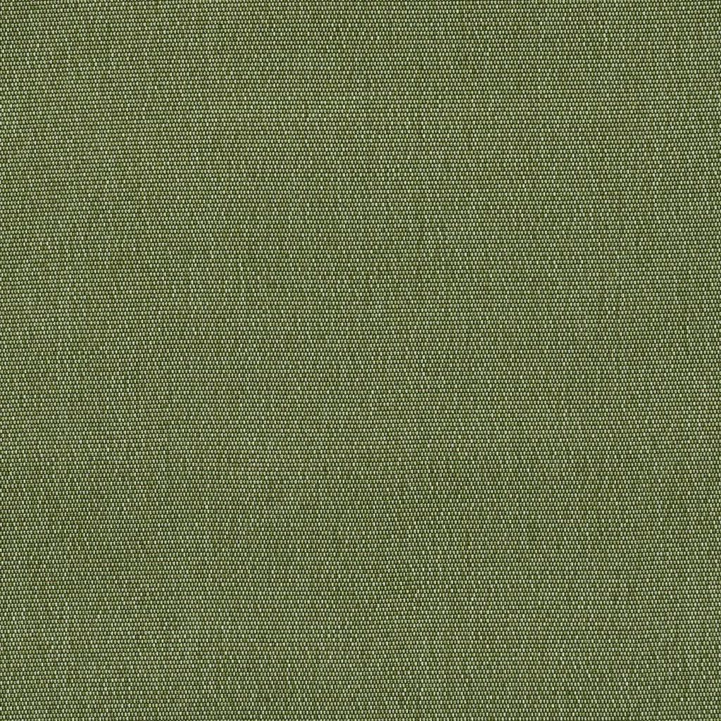 Schumacher Cooper Indoor/Outdoor Green Fabric