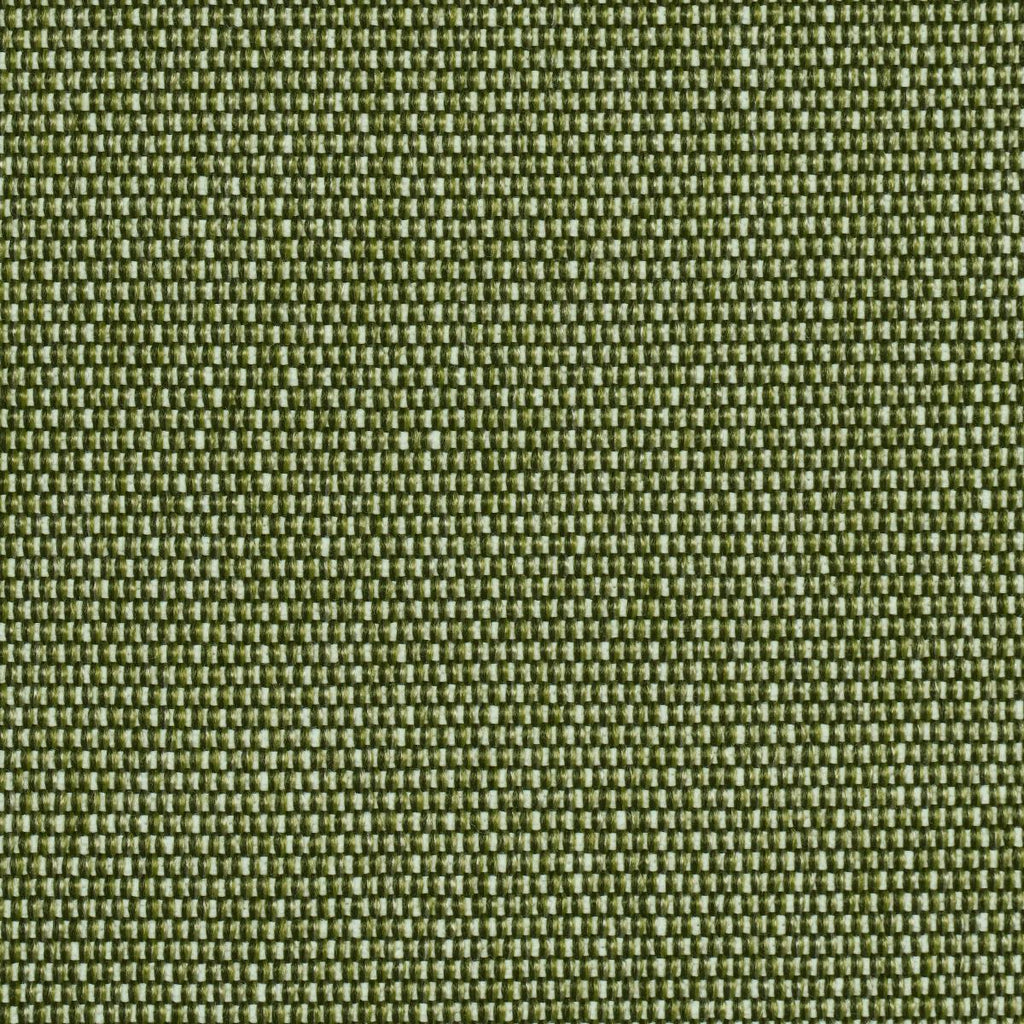 Schumacher Cooper Indoor/Outdoor Green Fabric