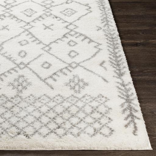 Surya Aliyah Shag ALH-2315 Cream Gray 5'3" x 7'3" Rug