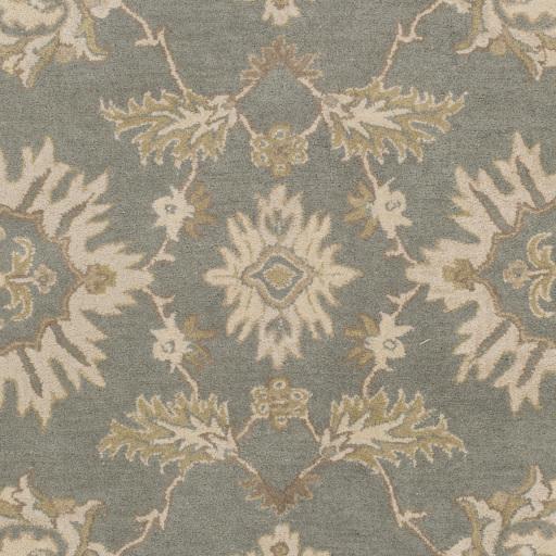 Surya Caesar CAE-1156 Brown Ivory 4' Square Rug