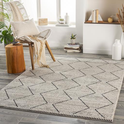 Surya Cozy CZY-2302 Black Cream 5'3" x 7' Rug