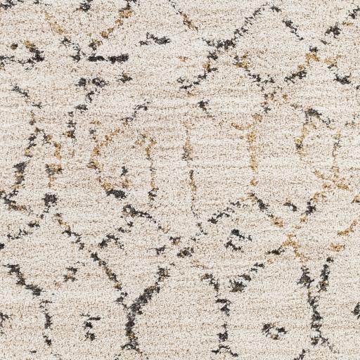 Surya Lisbon LSB-2300 Beige Charcoal 7'10" x 10' Rug