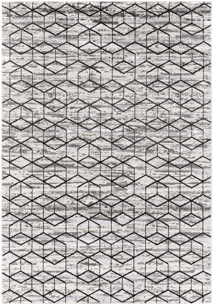 Surya Lustro LSR-2333 Light Gray White 7'10" x 10' Rug