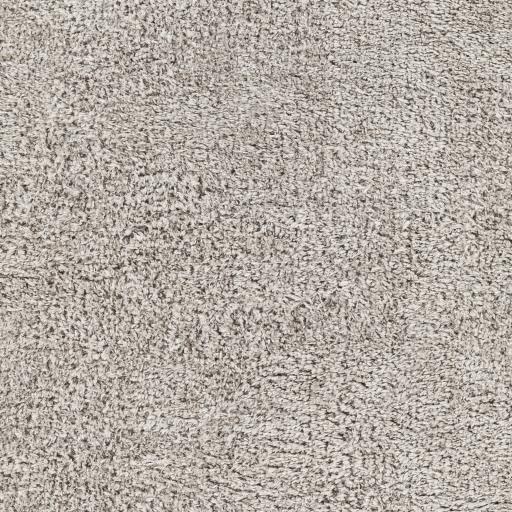 Surya Merino MRO-2301 Cream Gray 5' x 7' Rug