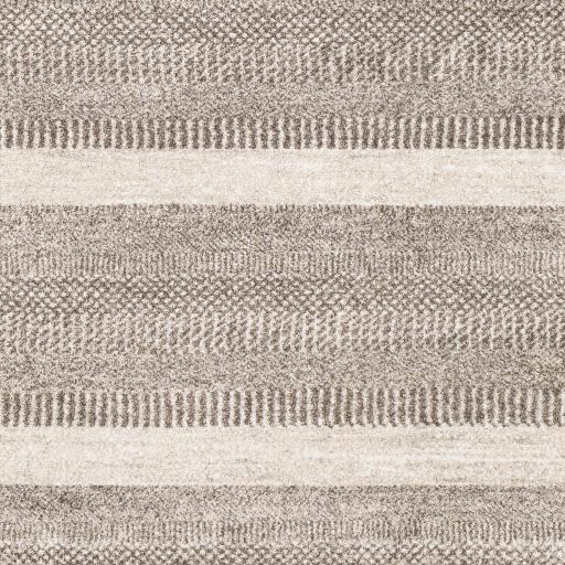 Surya Nepali NPI-2314 Cream Dark Brown 5'3" x 7'3" Rug